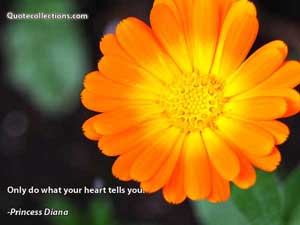 princess_diana_quotes Quotes 8